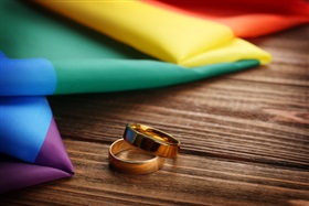 Twintig jaar wet op het ‘homohuwelijk’