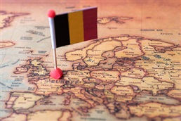 Vlaamse inburgeringsreglementering en de Belgische nationaliteit